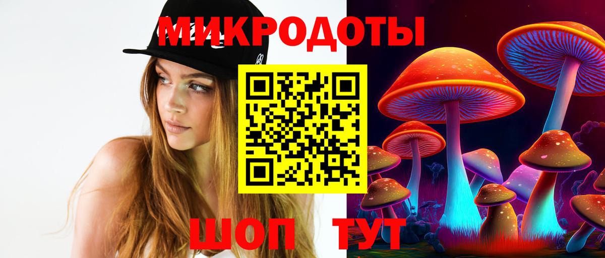 Похвистнево  Псилоцибиновые грибы Psilocybine cubensis  Вход с VPN  Галлюциногенные грибы Magic Shrooms 
