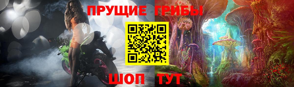 Псилоцибиновые грибы Psilocybine cubensis Похвистнево